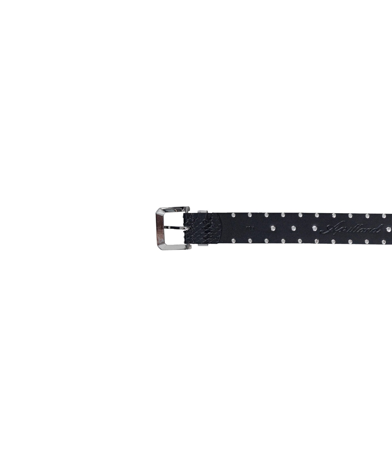 STUDDED SNAKESKIN BELT IN
BLACK